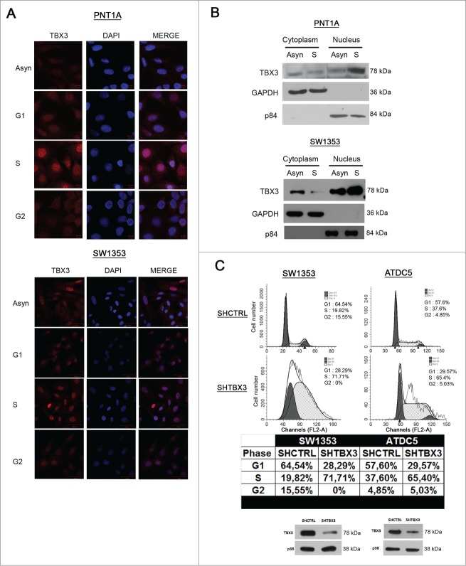 Figure 2.