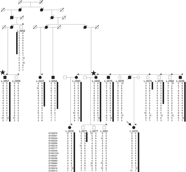 FIGURE 1: