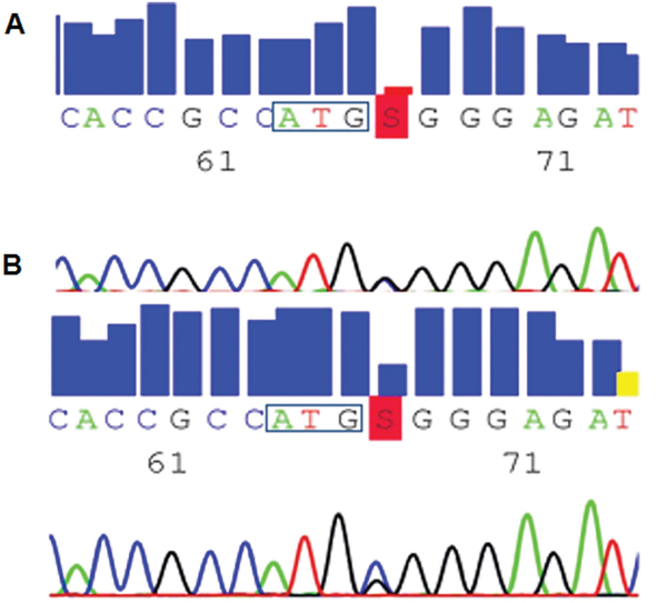 FIGURE 4: