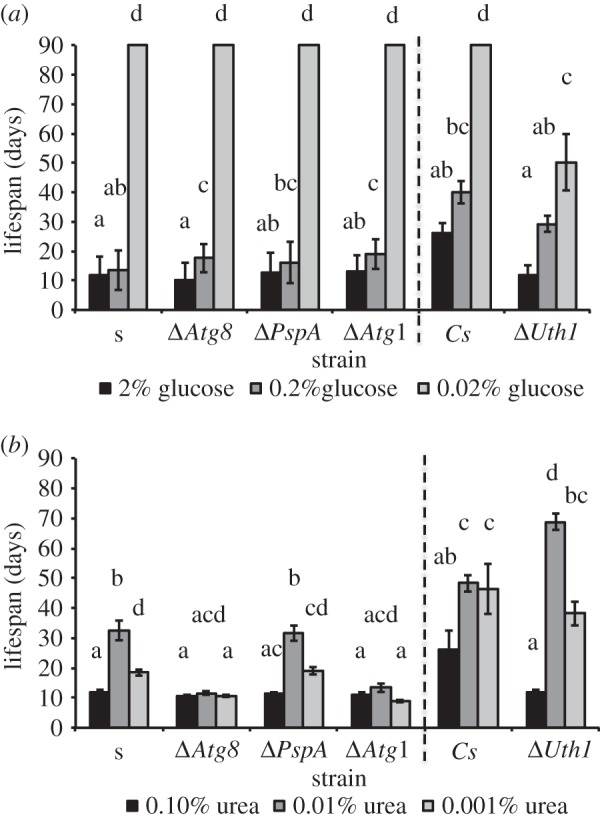 Figure 5.