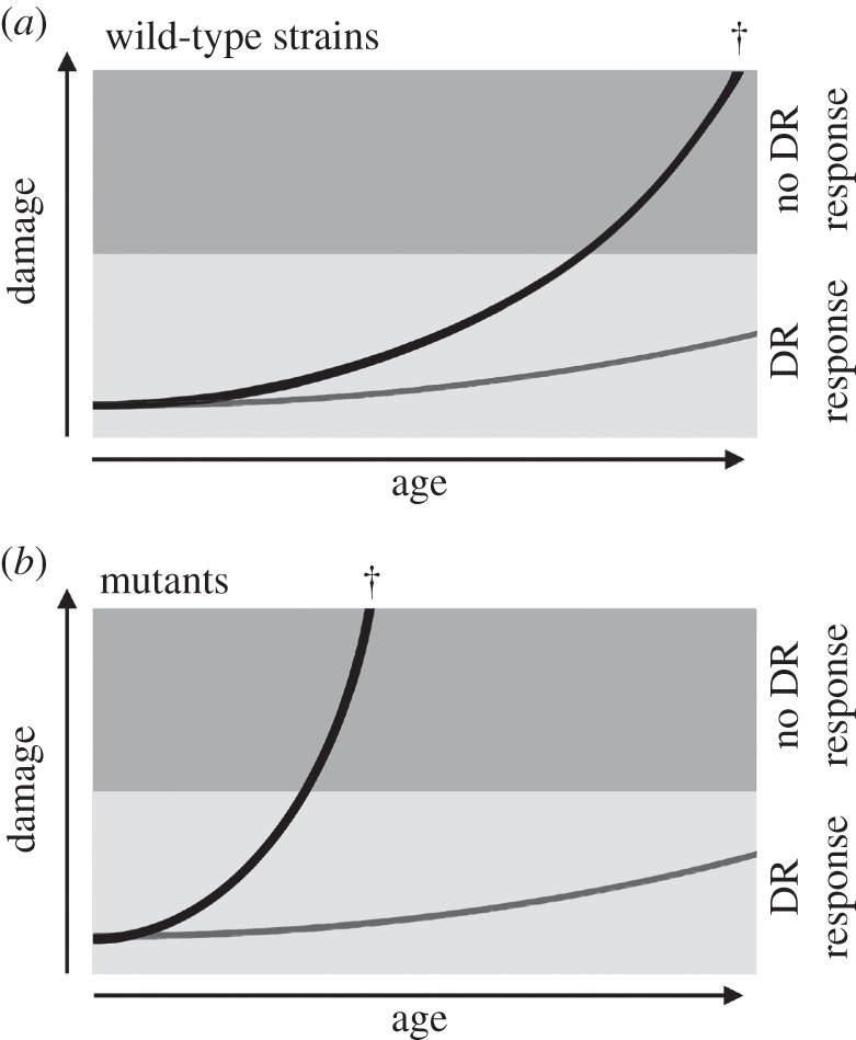 Figure 7.