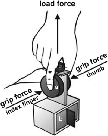 Fig. 1