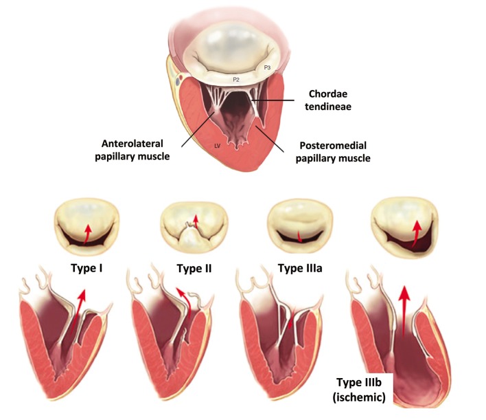 Figure 1: