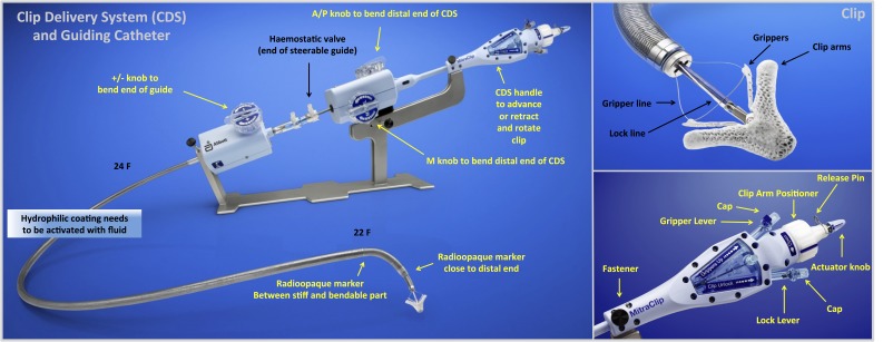 Figure 2: