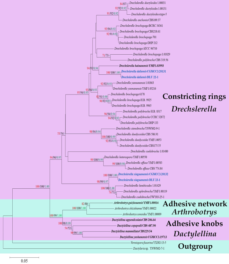 Figure 3.