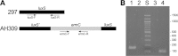 FIG 2
