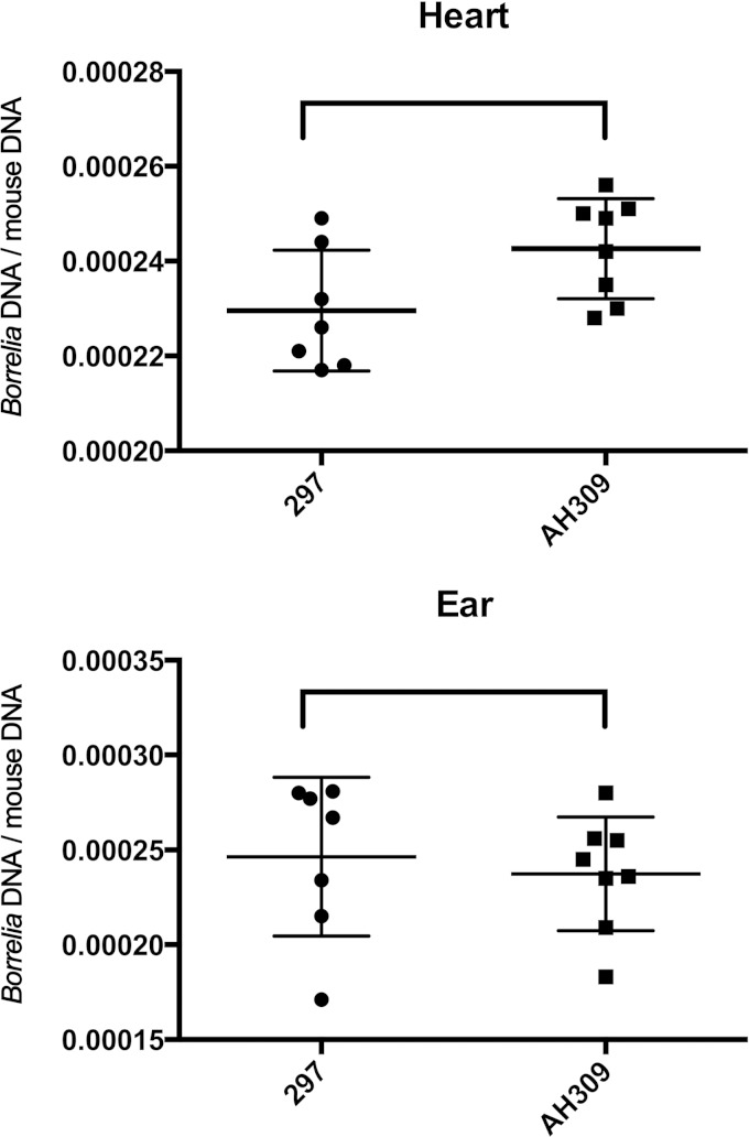 FIG 3