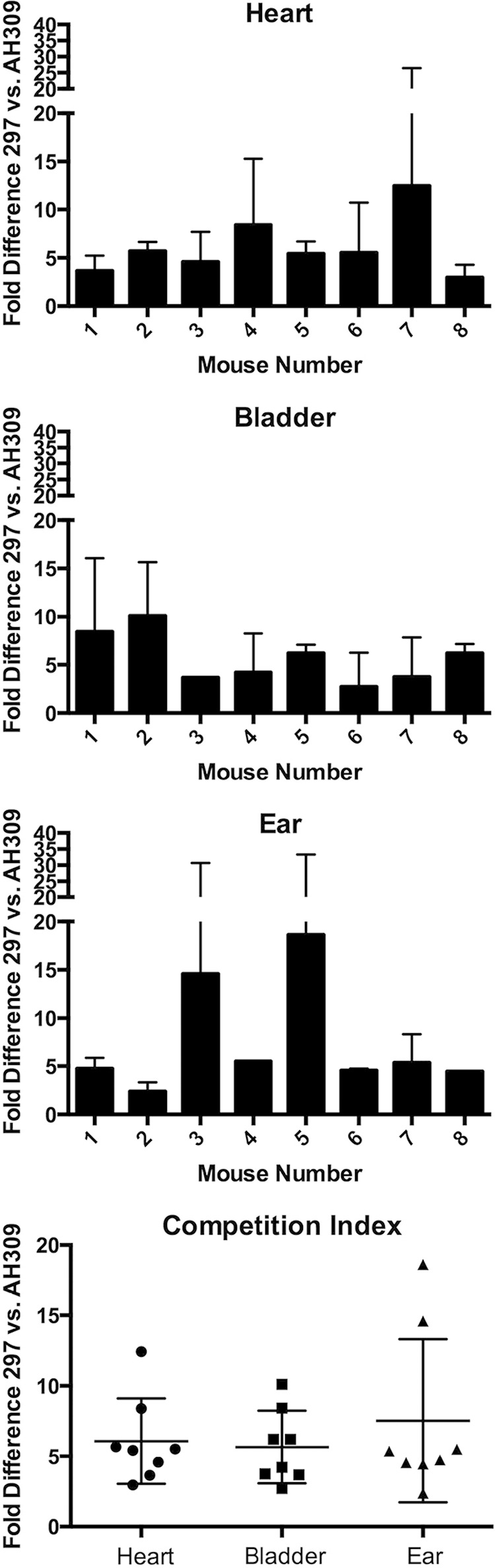 FIG 4