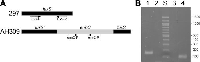 FIG 2