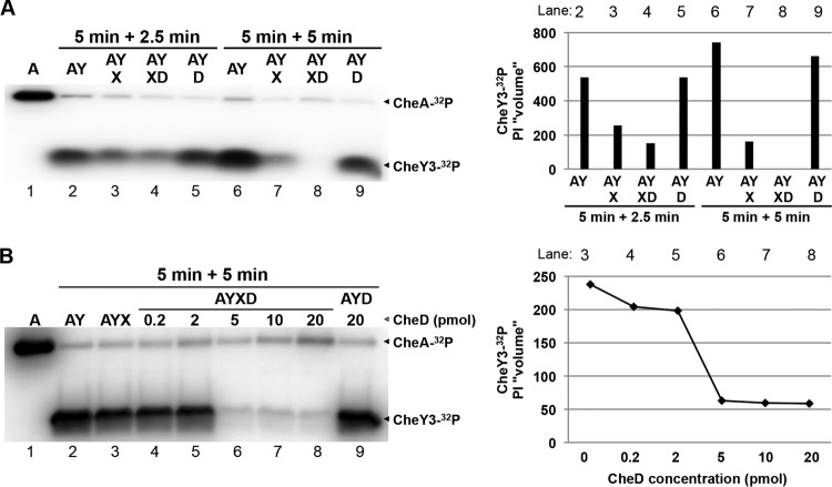 FIG 2