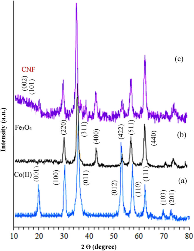 FIGURE 7