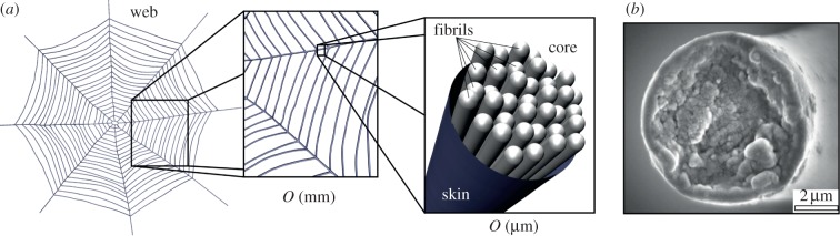 Figure 1.