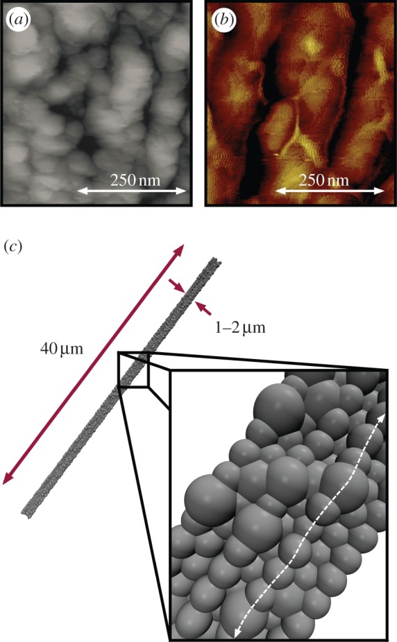 Figure 2.