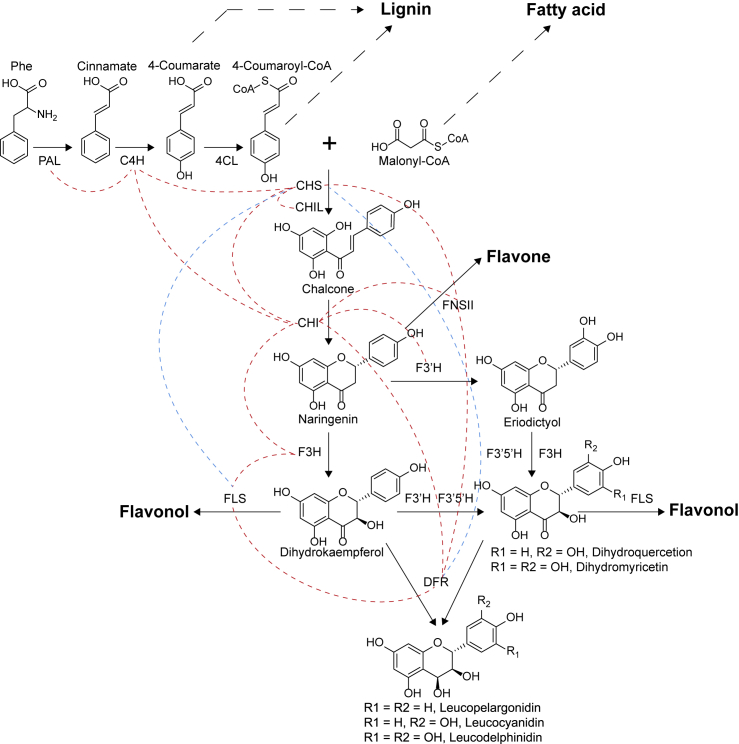 Figure 2