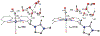 Fig. 8