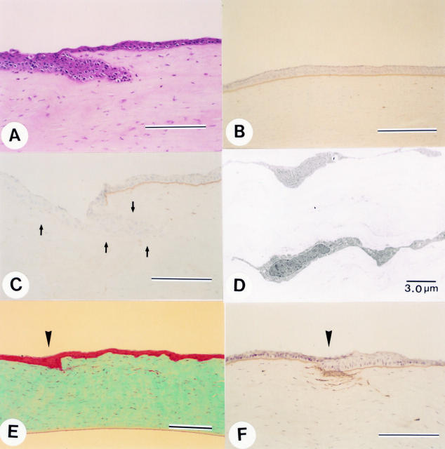 Figure 1  