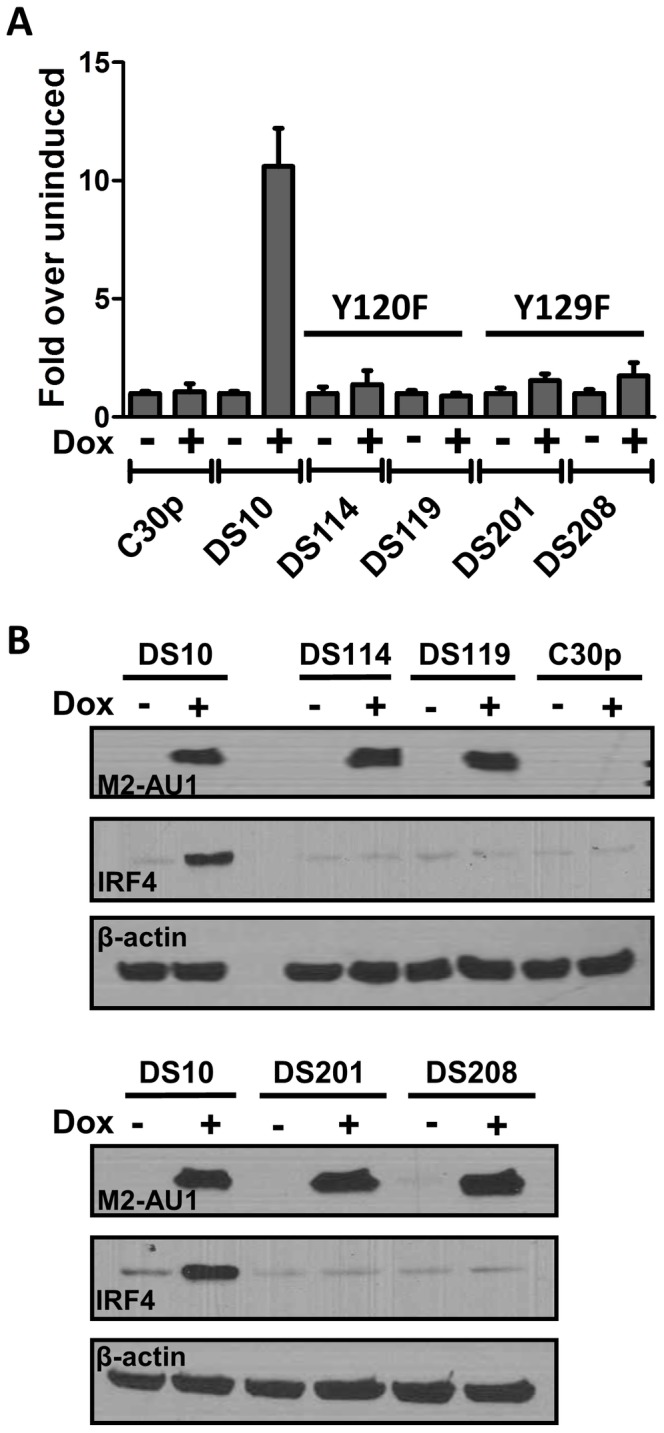 Figure 5