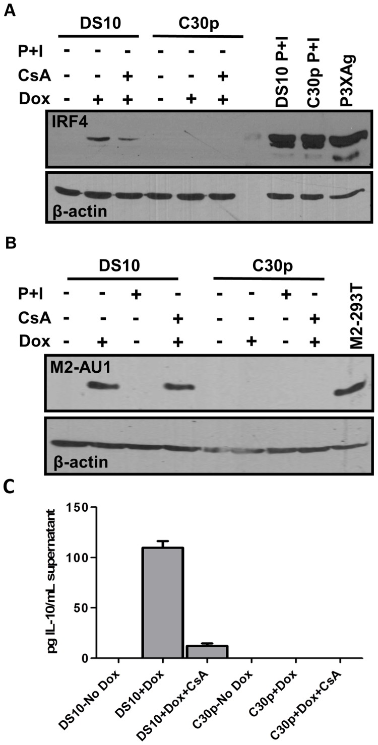 Figure 4