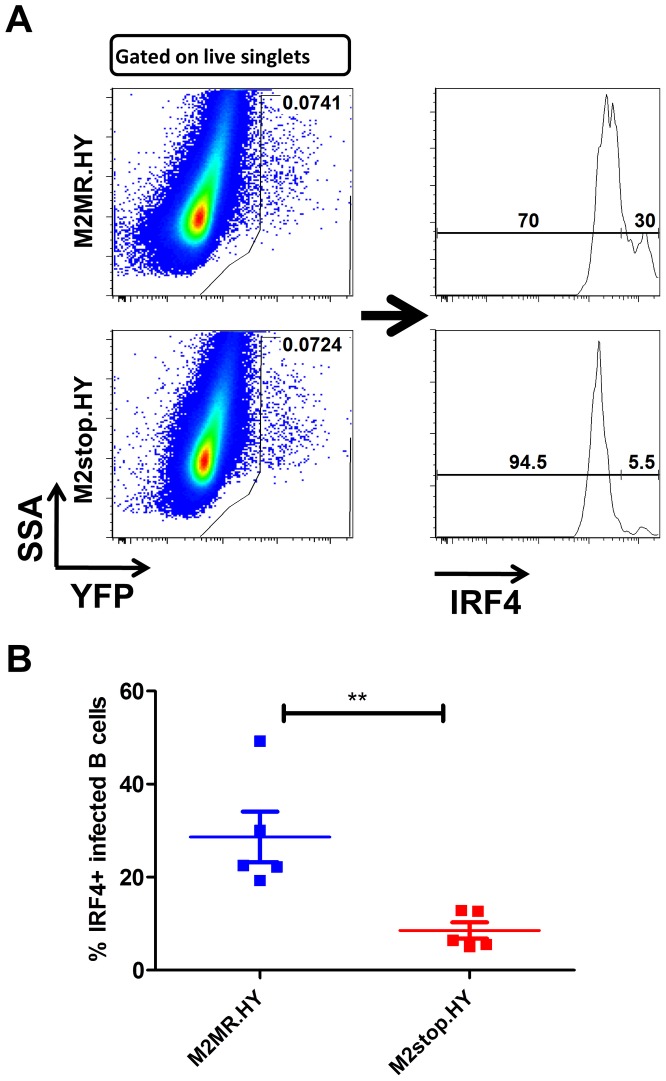 Figure 9