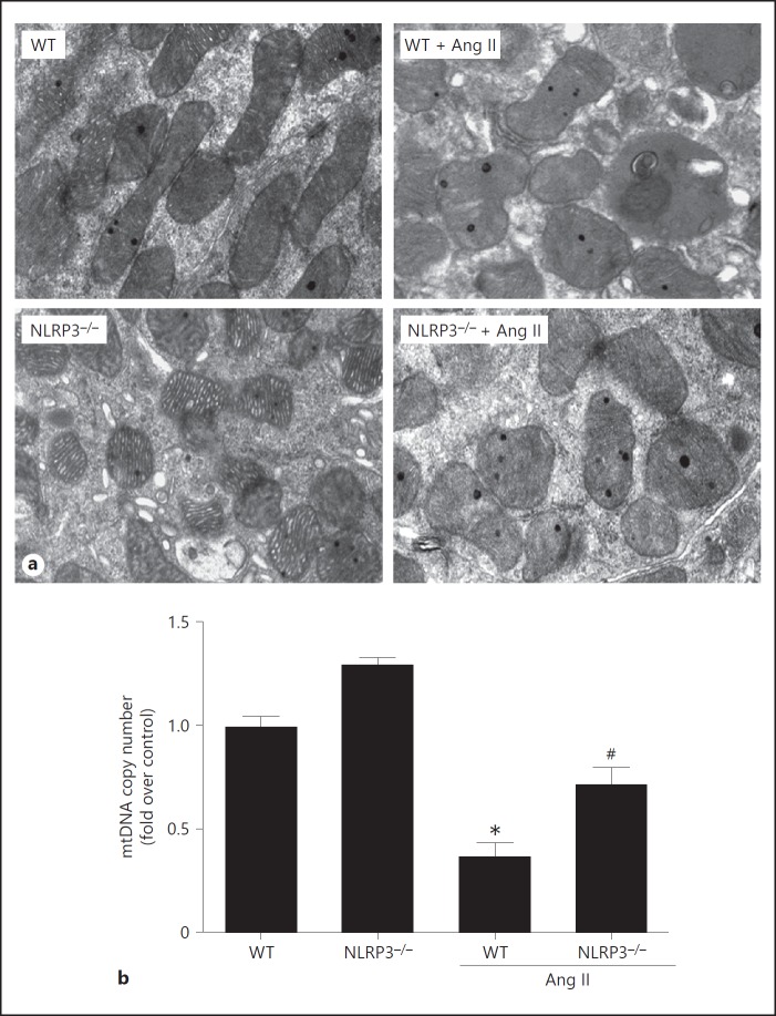 Fig. 8.