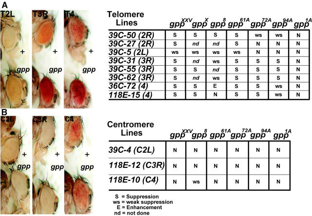 Figure 3.—