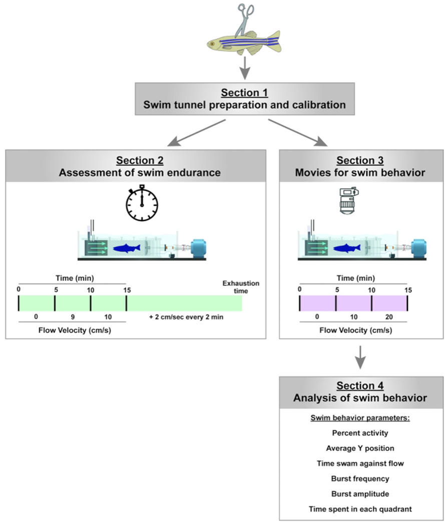 Figure 2: