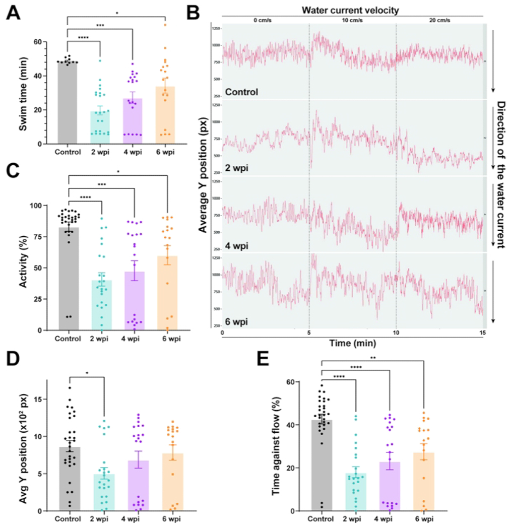 Figure 3: