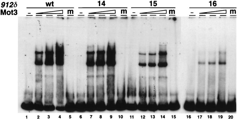 FIG. 8