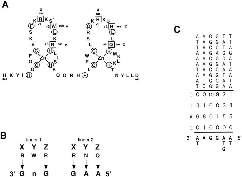 FIG. 9