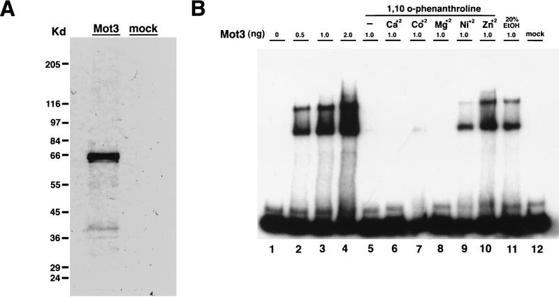 FIG. 5