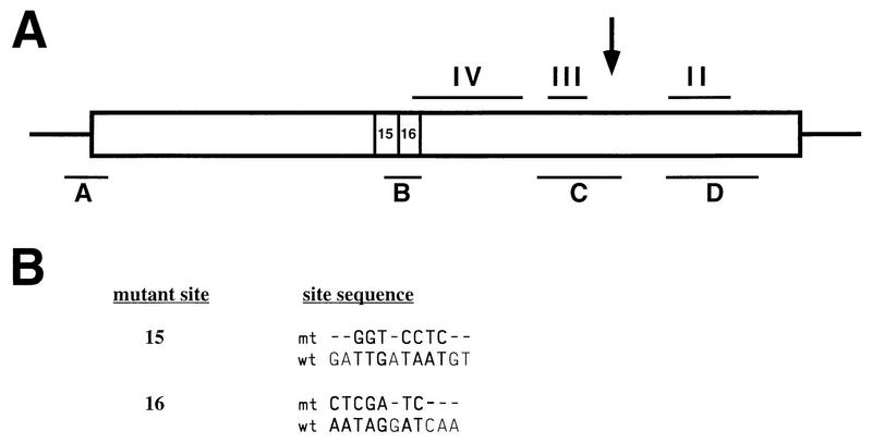 FIG. 7