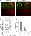 Fig. 4.