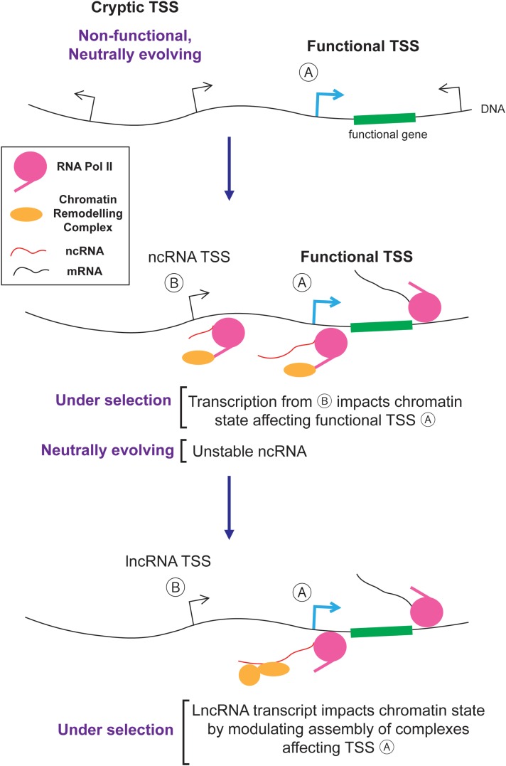 FIGURE 4