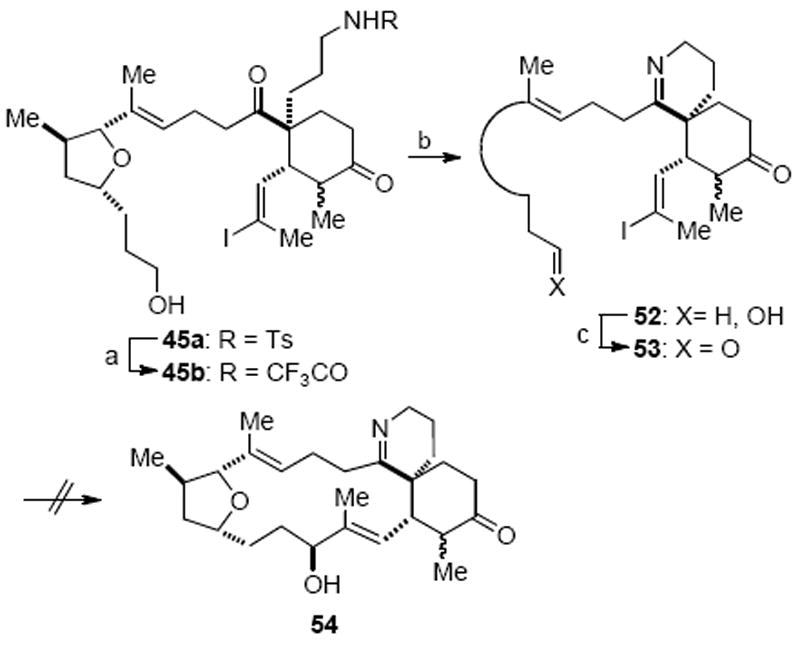 Scheme 15