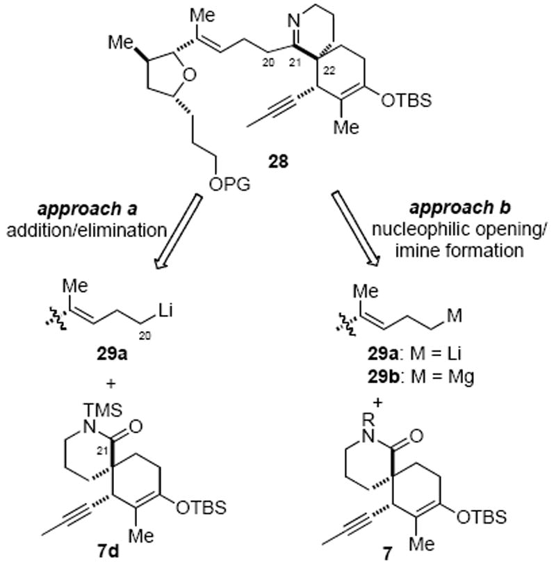 Scheme 7