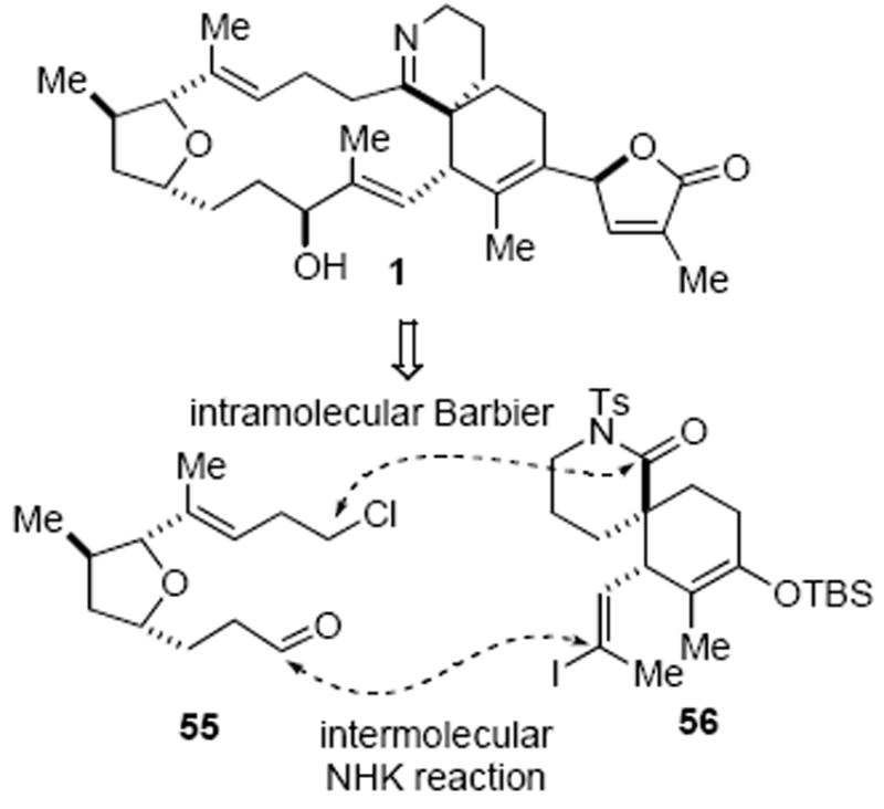 Scheme 16