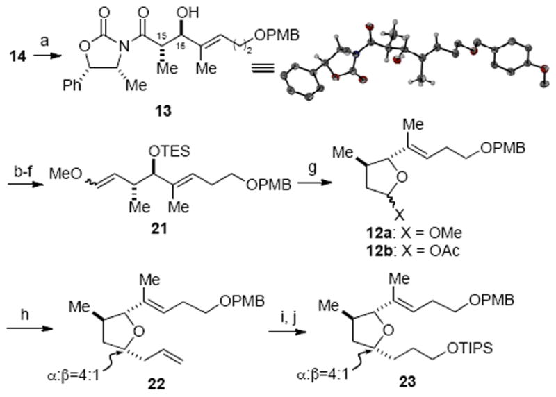 Scheme 4