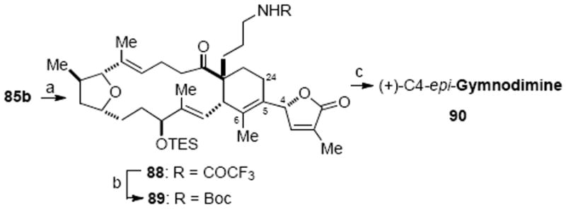 Scheme 25