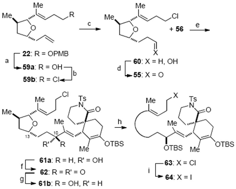 Scheme 18