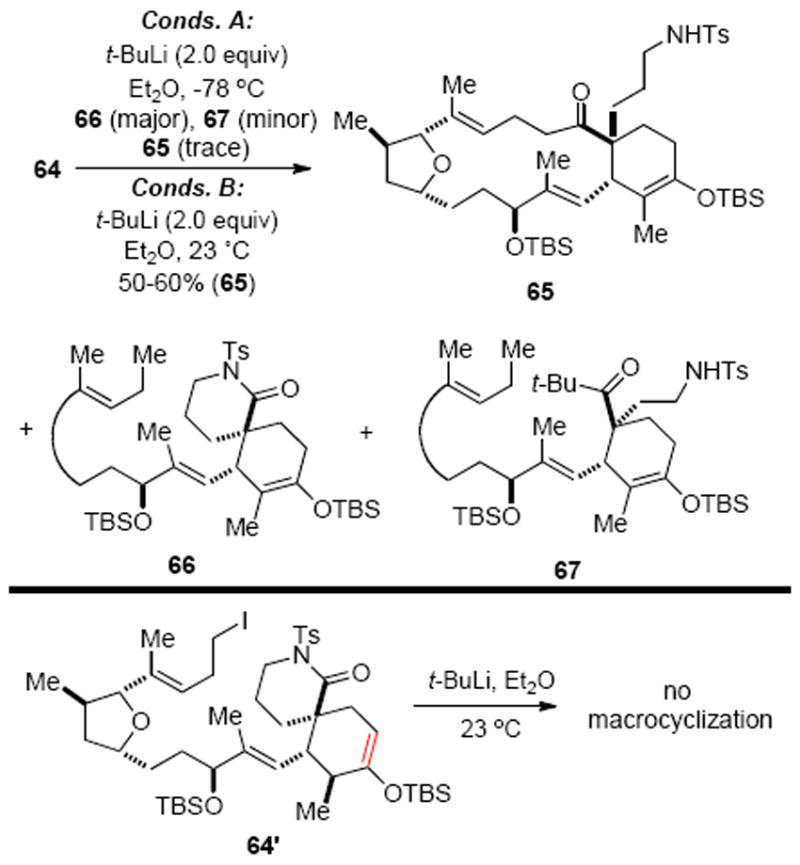 Scheme 19