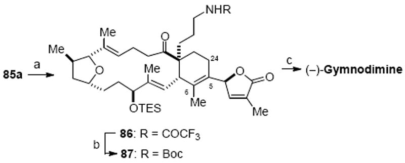 Scheme 24