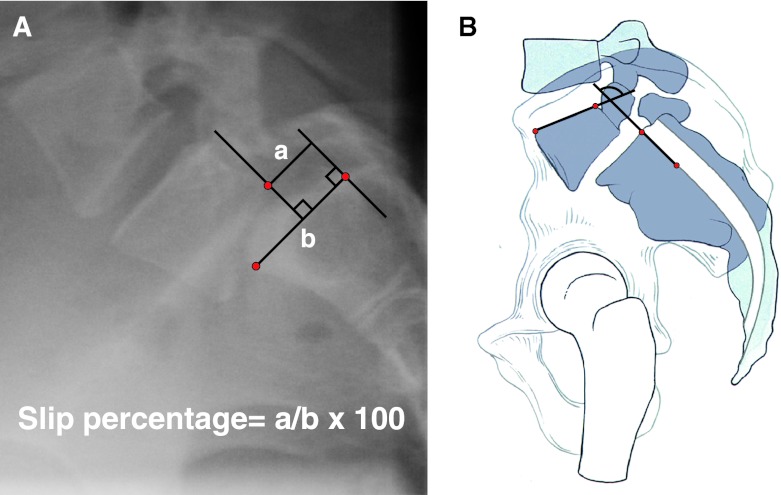 Fig. 2