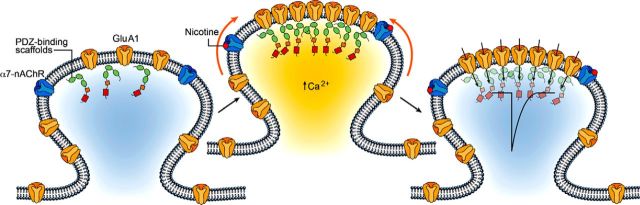 Figure 10.