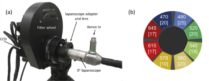 Fig. 1.