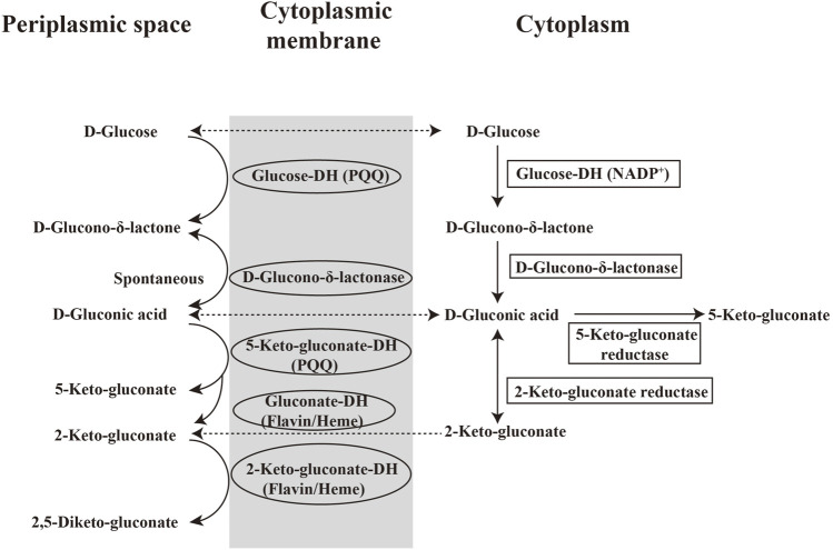 FIGURE 3