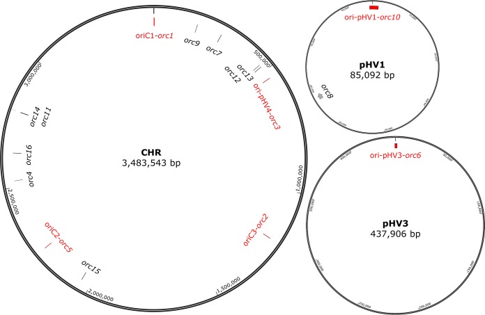 FIG 2