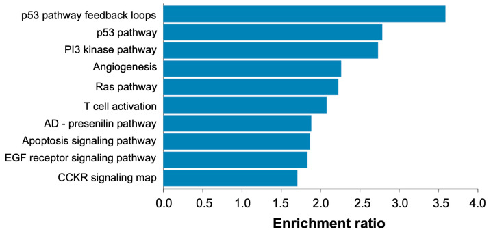 Figure 10