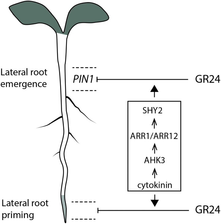 Fig. 5.