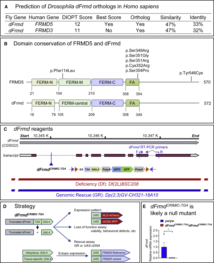 Figure 2