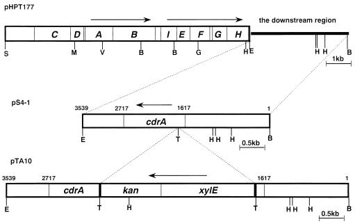 FIG. 1